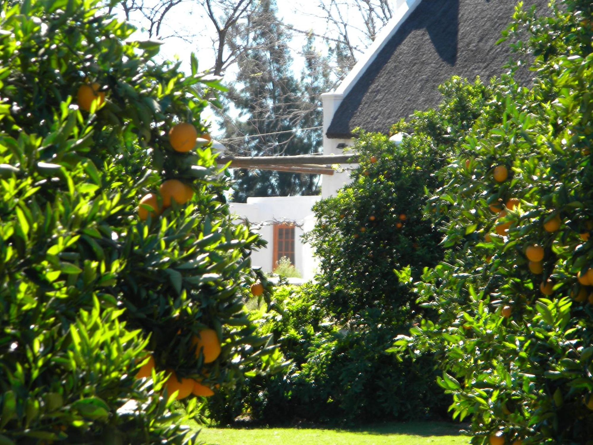 Klein Boschkloof Villa Clanwilliam Exterior foto