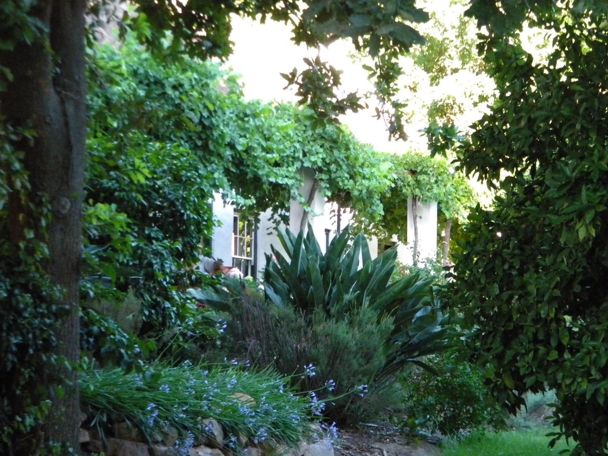 Klein Boschkloof Villa Clanwilliam Exterior foto